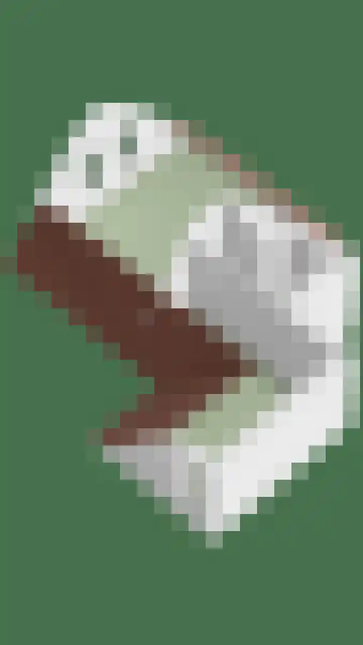Berk 28 Leek thumbnail 45