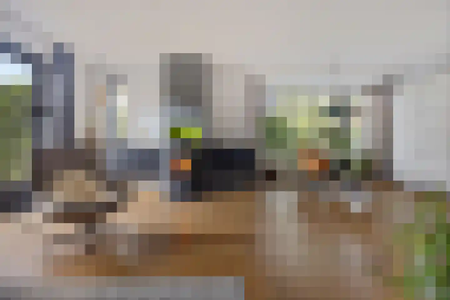 Berk 38 Leek thumbnail 10