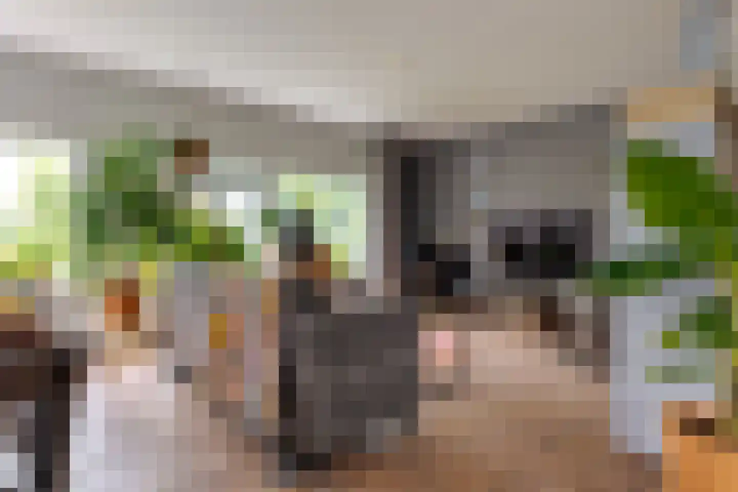 Berk 44 Leek thumbnail 16