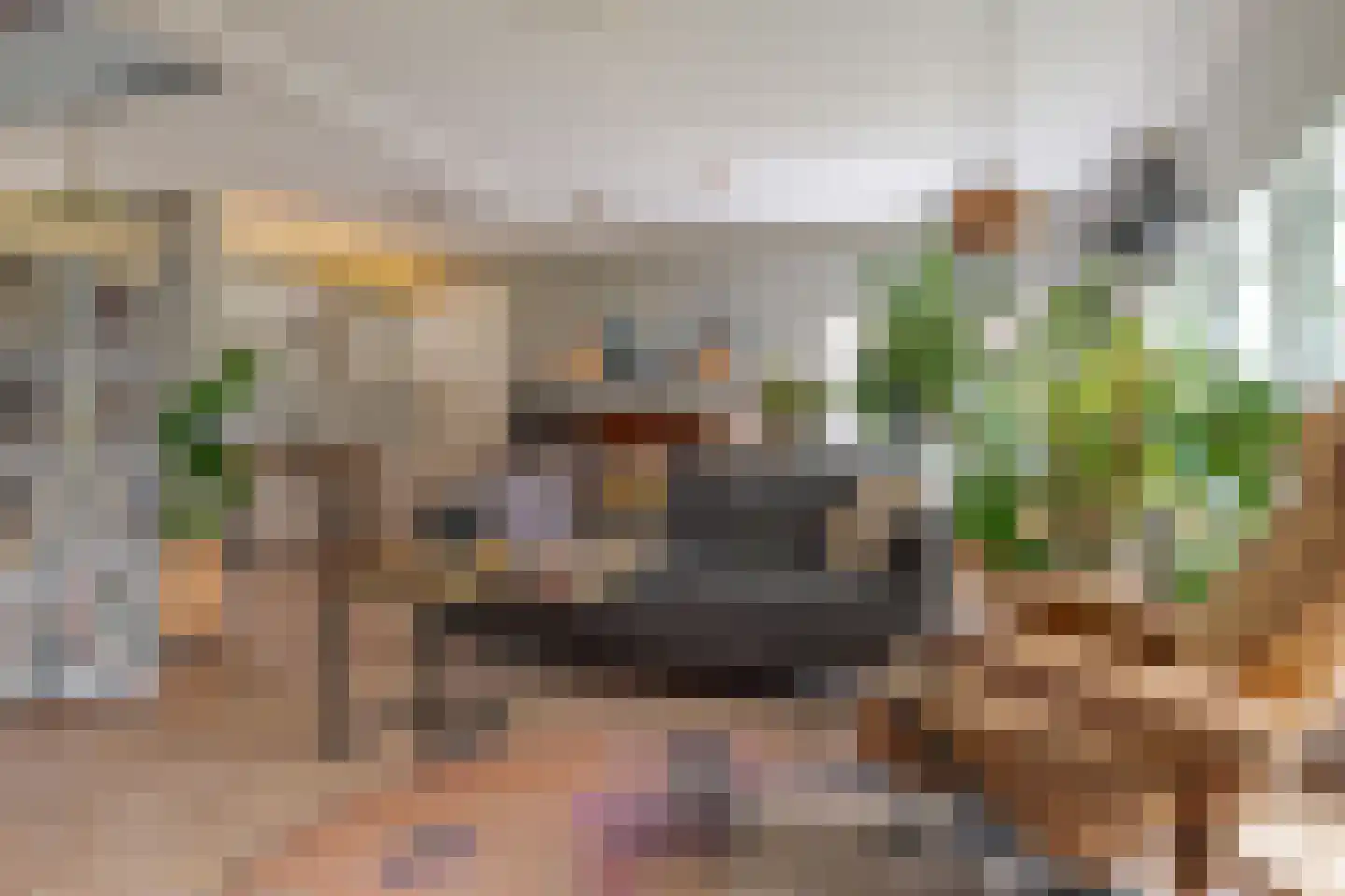 Berk 44 Leek thumbnail 20