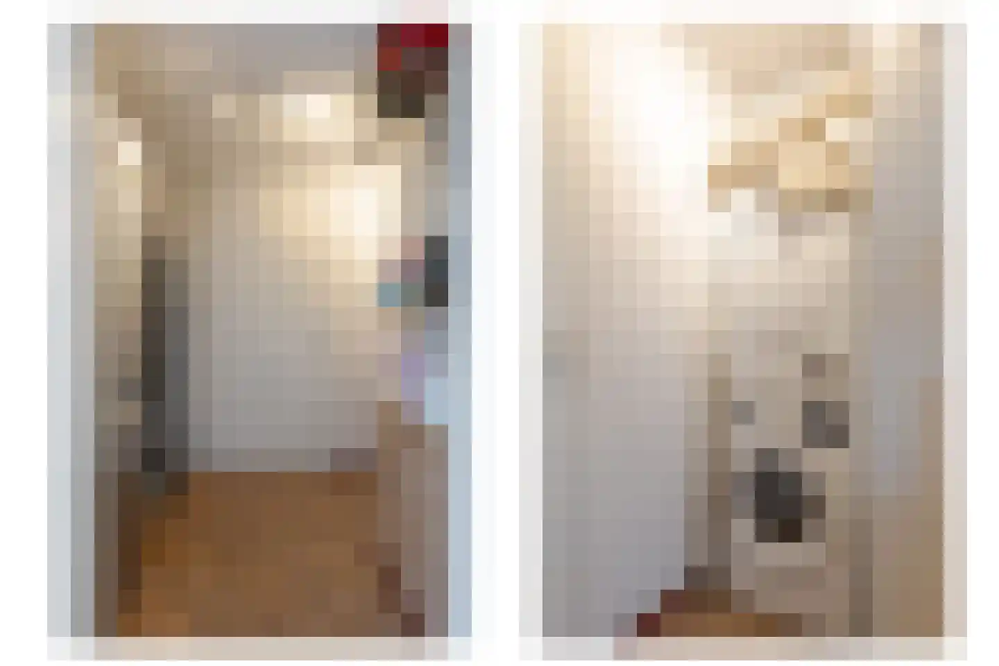 Berk 44 Leek thumbnail 33