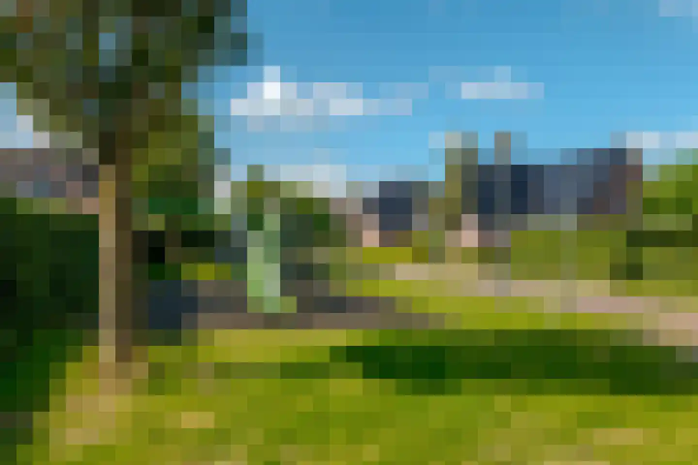 Berk 44 Leek thumbnail 4