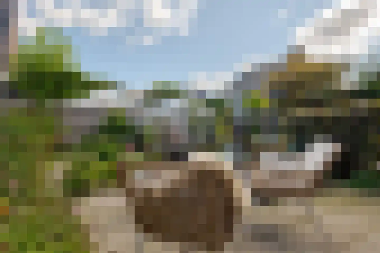 Berk 44 Leek thumbnail 40