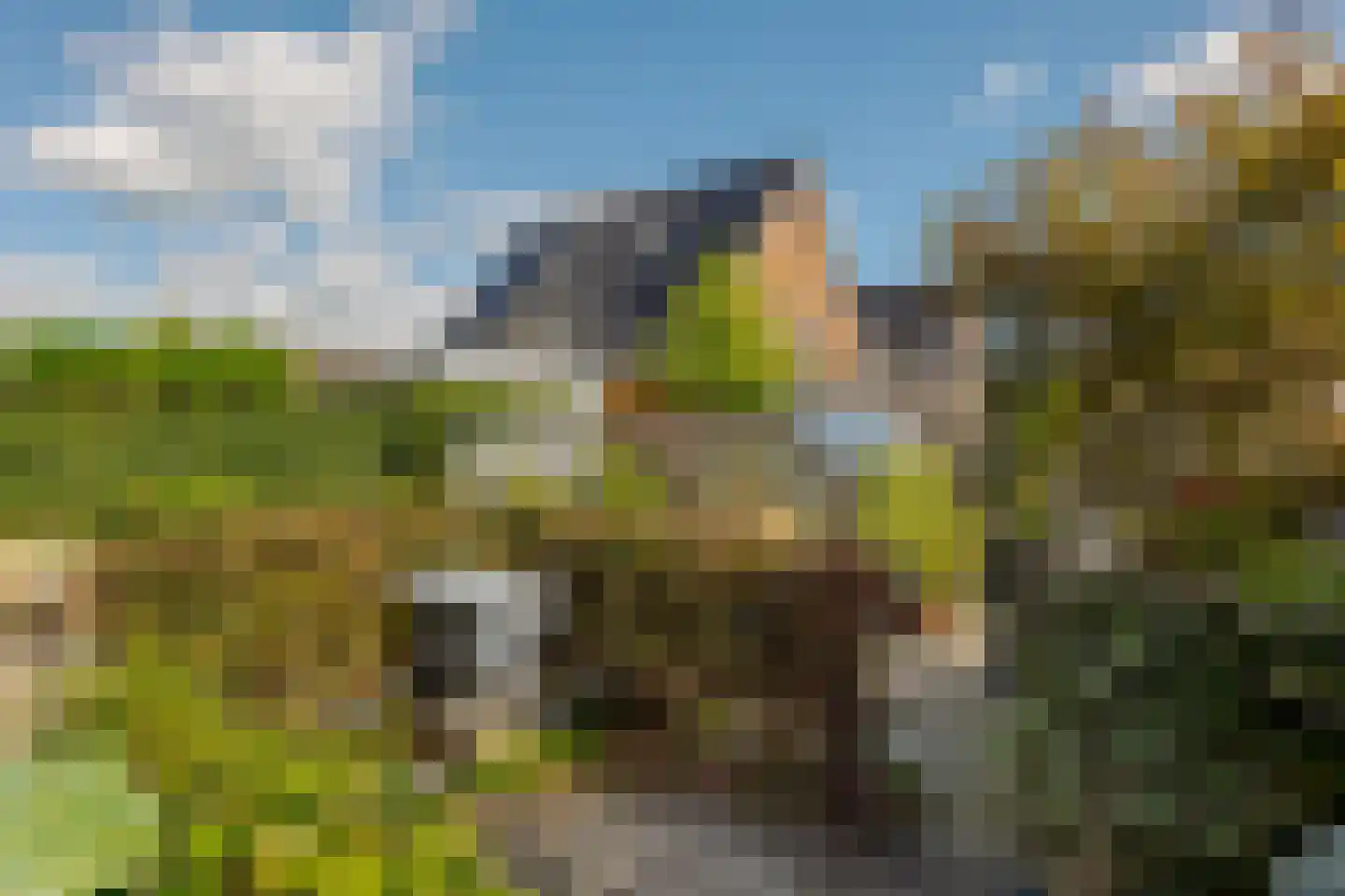 Berk 44 Leek thumbnail 46