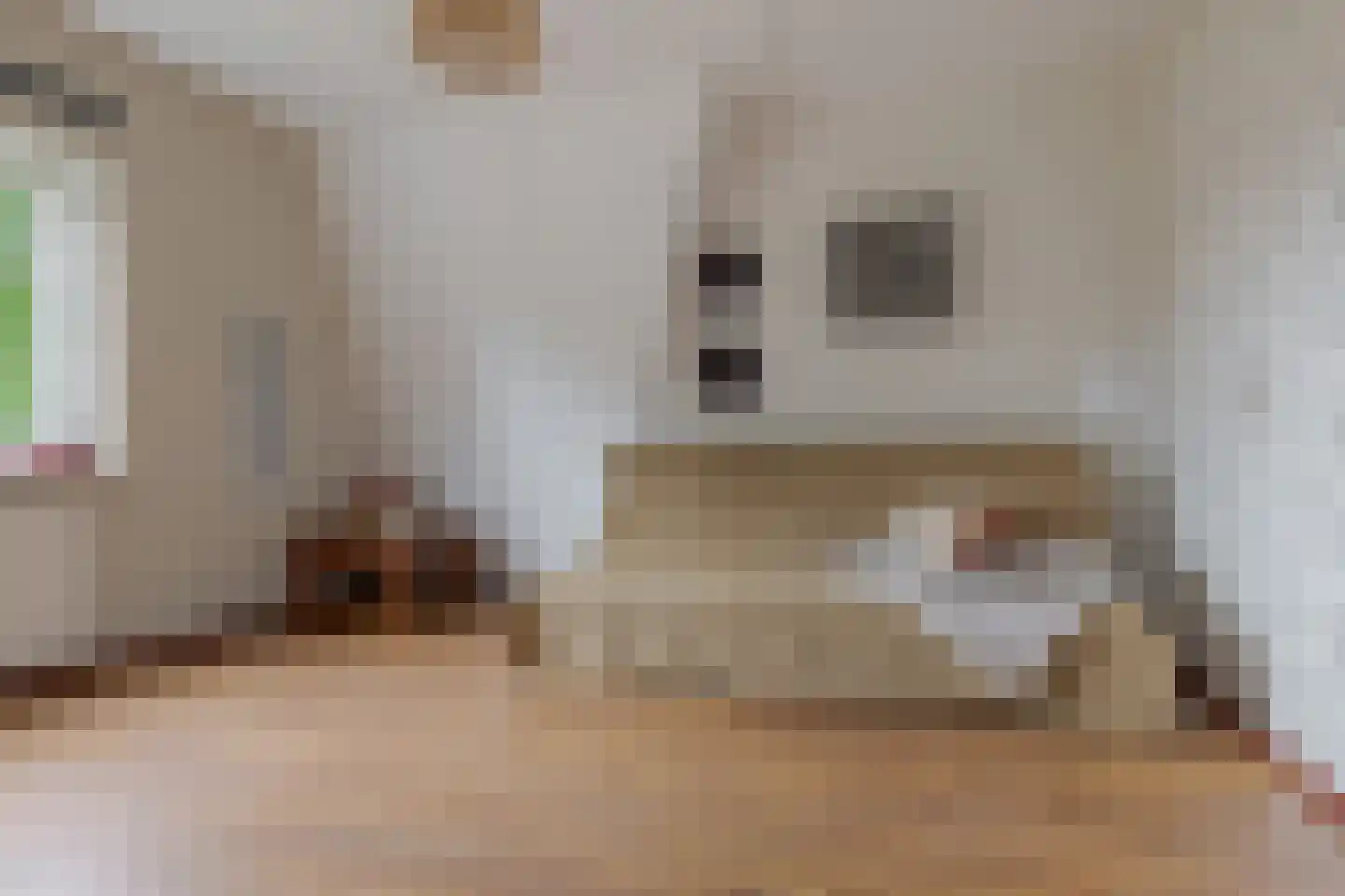 Berk 44 Leek thumbnail 52