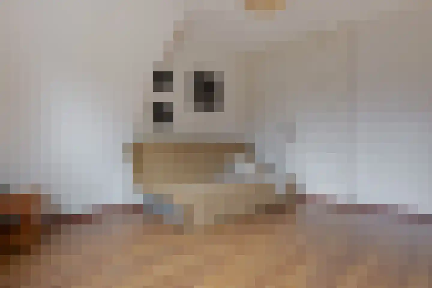 Berk 44 Leek thumbnail 54