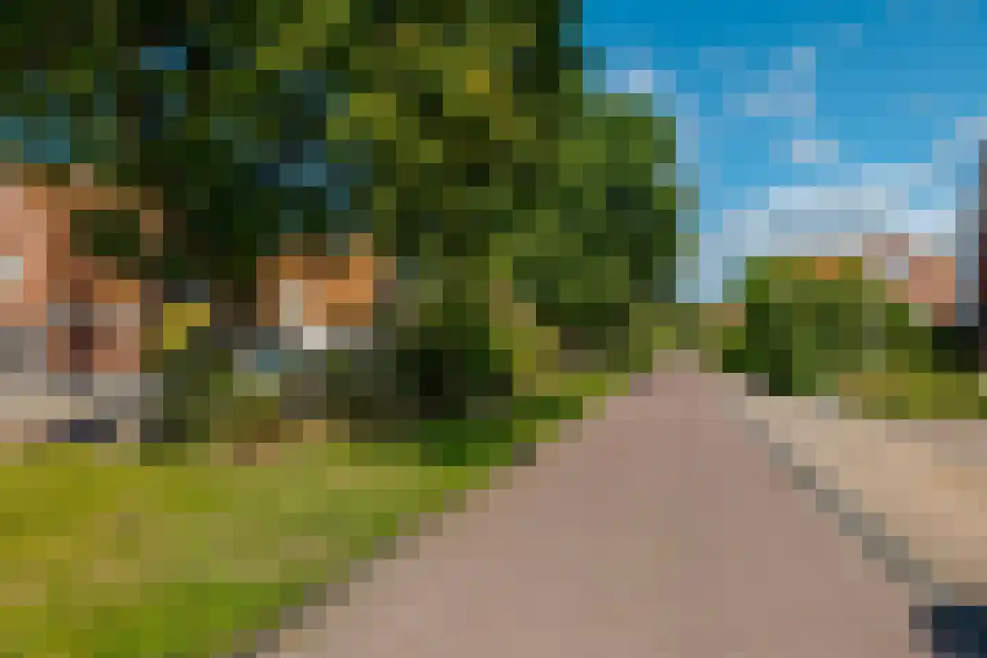 Berk 44 Leek thumbnail 6