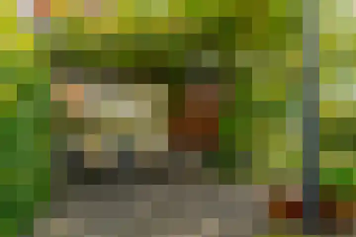 Berk 48 Leek thumbnail 10