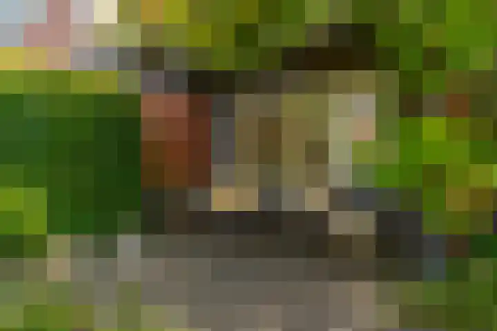 Berk 48 Leek thumbnail 11