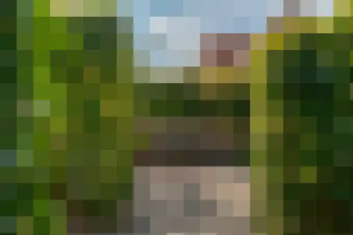 Berk 48 Leek thumbnail 12