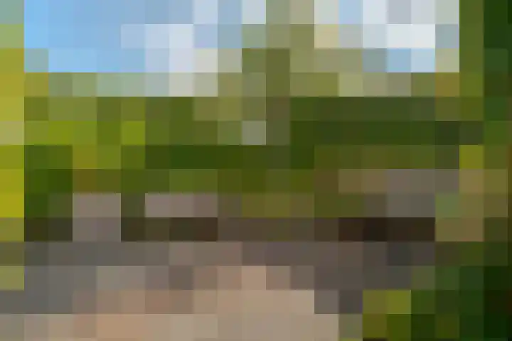Berk 48 Leek thumbnail 13