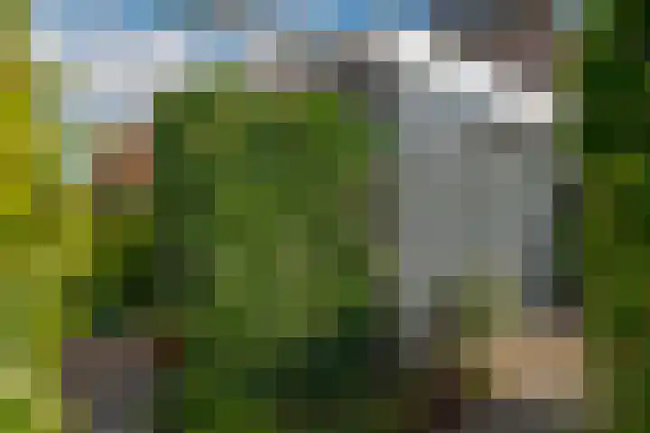 Berk 48 Leek thumbnail 14