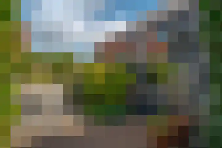 Berk 48 Leek thumbnail 16