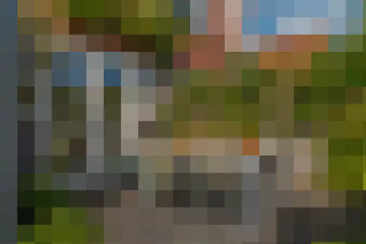 Berk 48 Leek thumbnail 17