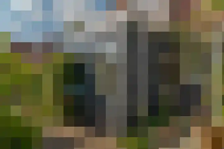 Berk 48 Leek thumbnail 18