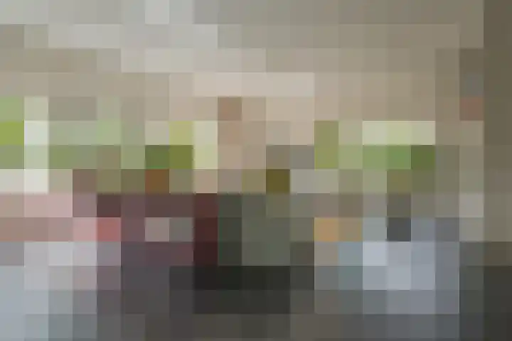Berk 48 Leek thumbnail 22