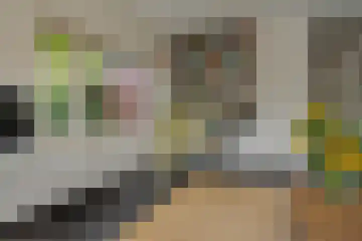 Berk 48 Leek thumbnail 26