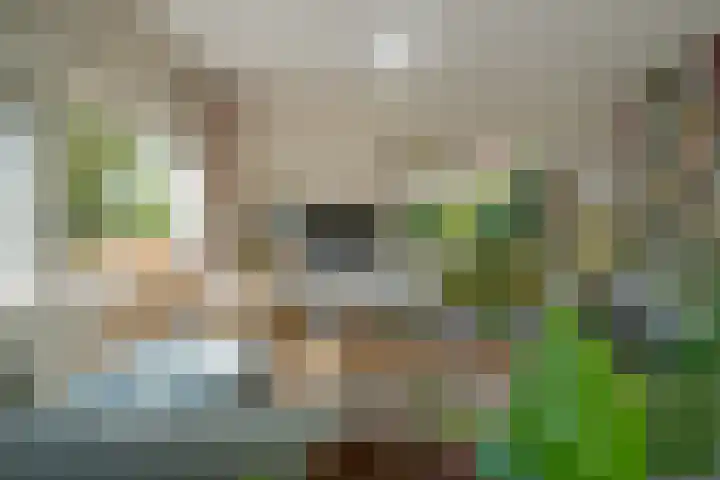 Berk 48 Leek thumbnail 27