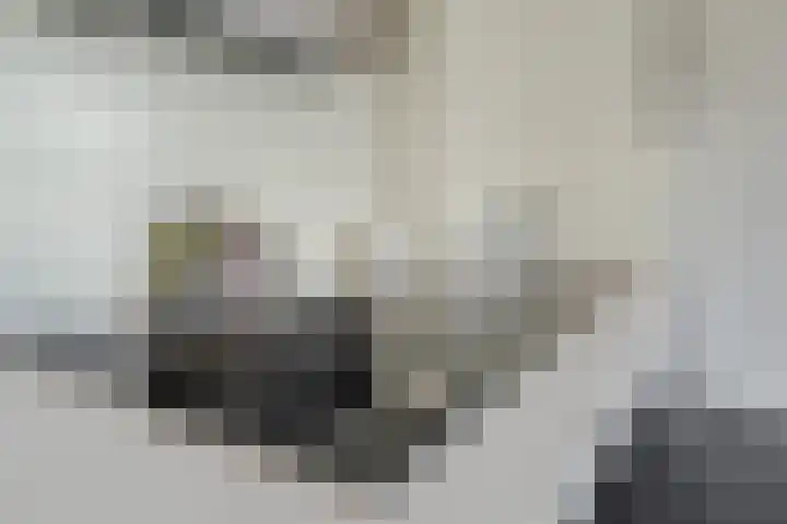 Berk 48 Leek thumbnail 32