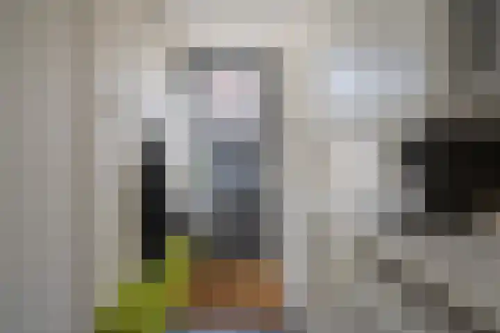 Berk 48 Leek thumbnail 37