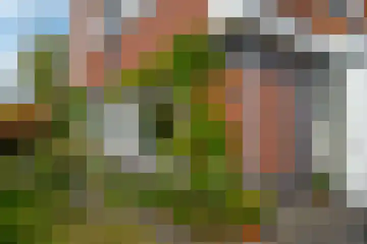 Berk 48 Leek thumbnail 6