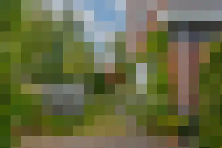 Berk 48 Leek thumbnail 7