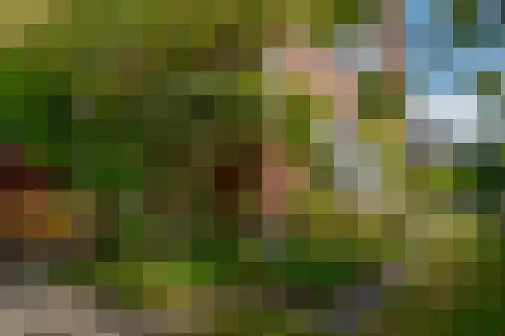 Berk 48 Leek thumbnail 8
