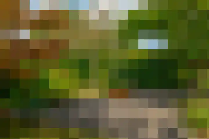 Berk 48 Leek thumbnail 9