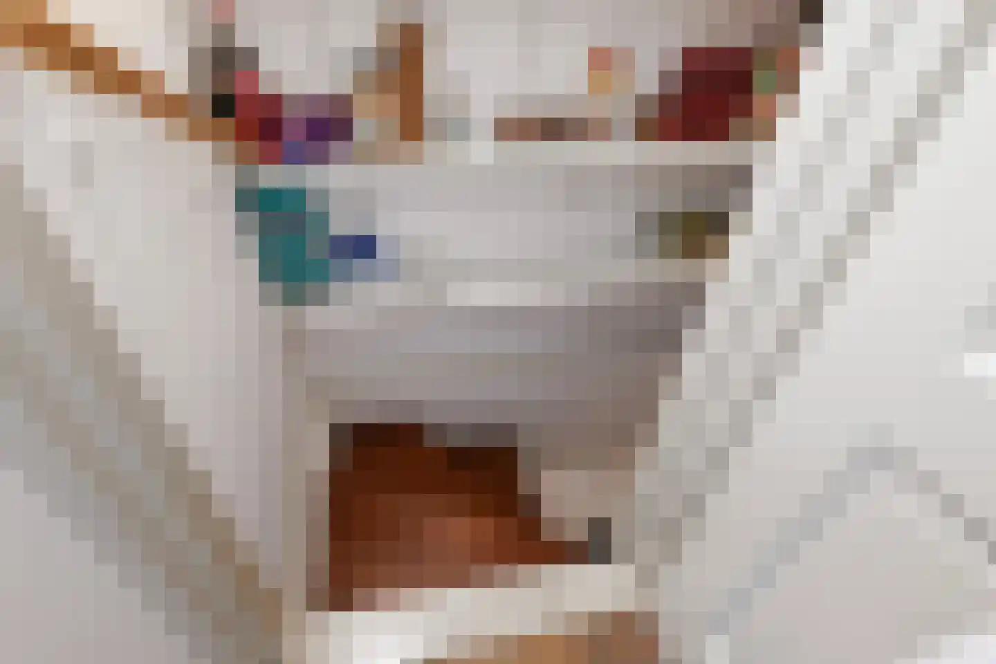 Berkakker 10 Kaatsheuvel thumbnail 11