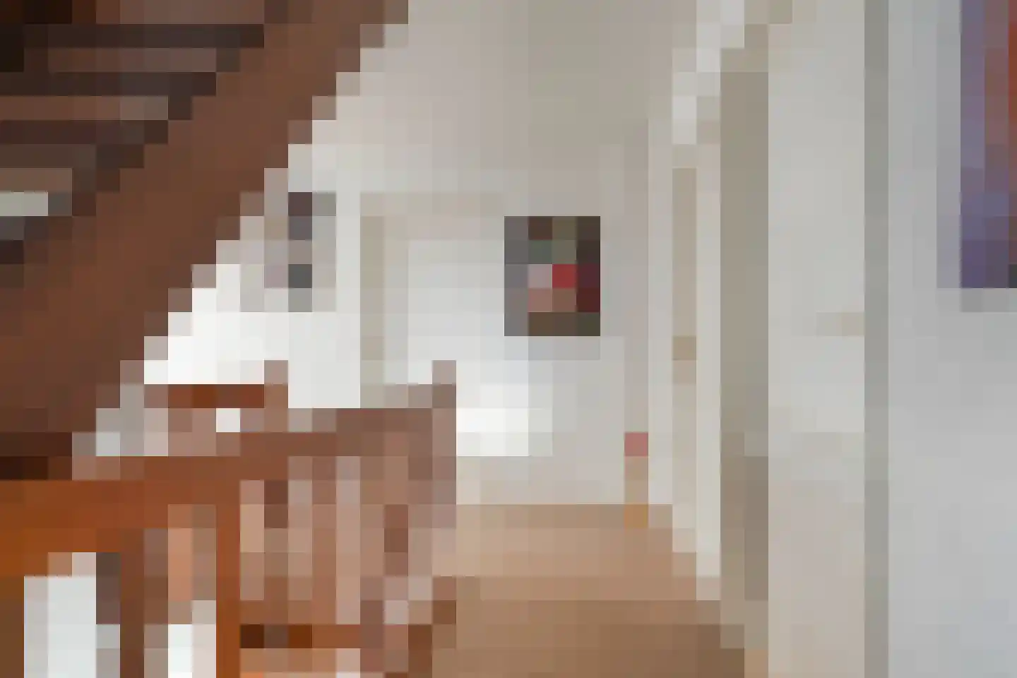 Berkakker 10 Kaatsheuvel thumbnail 18