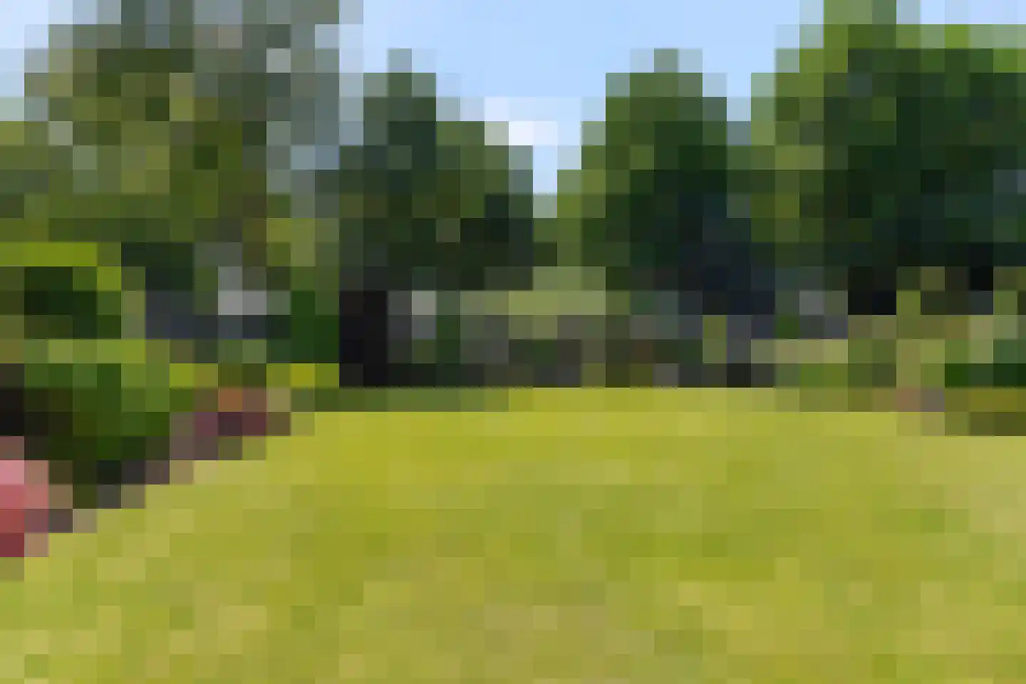 Berkakker 10 Kaatsheuvel thumbnail 30