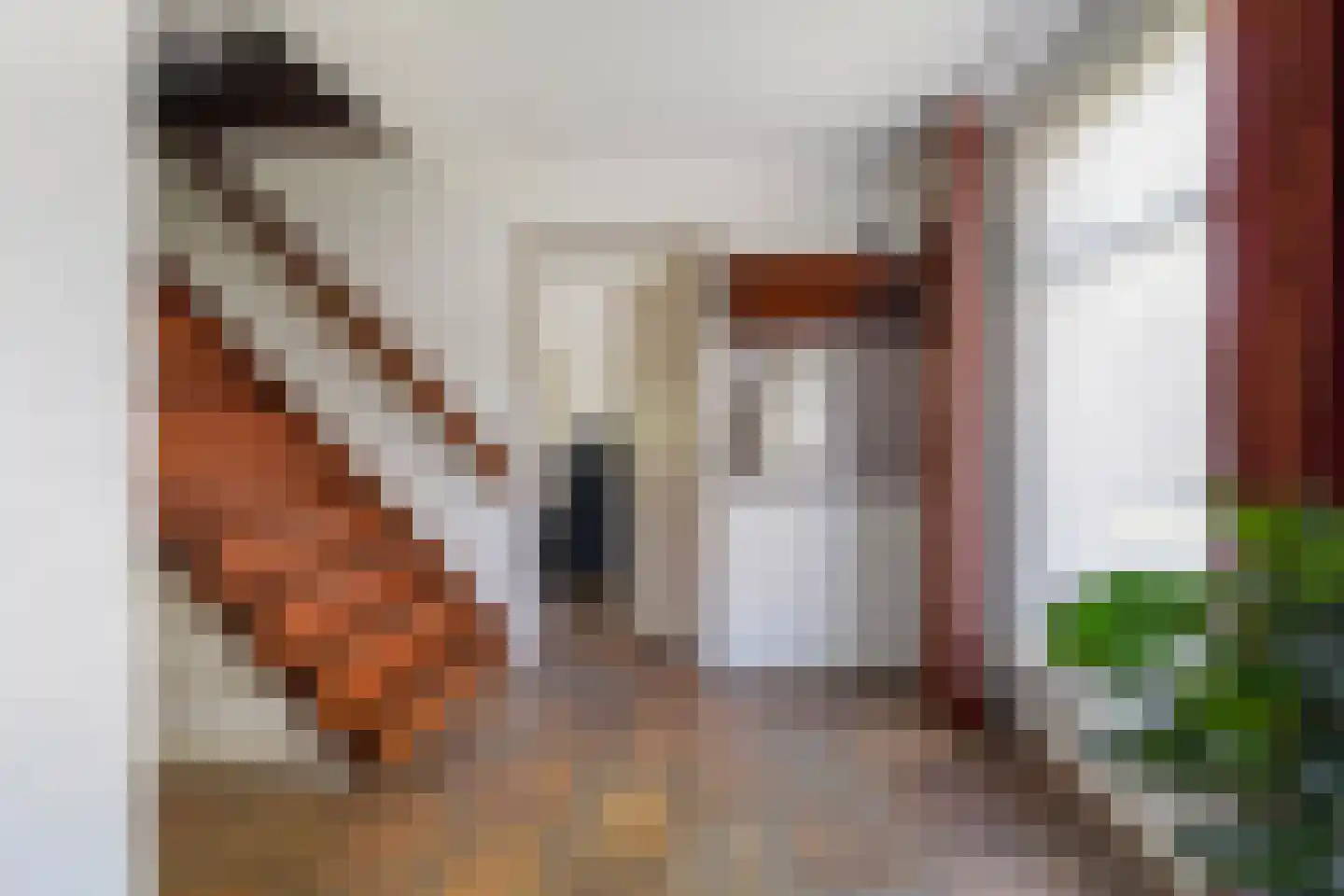 Berkakker 10 Kaatsheuvel thumbnail 5