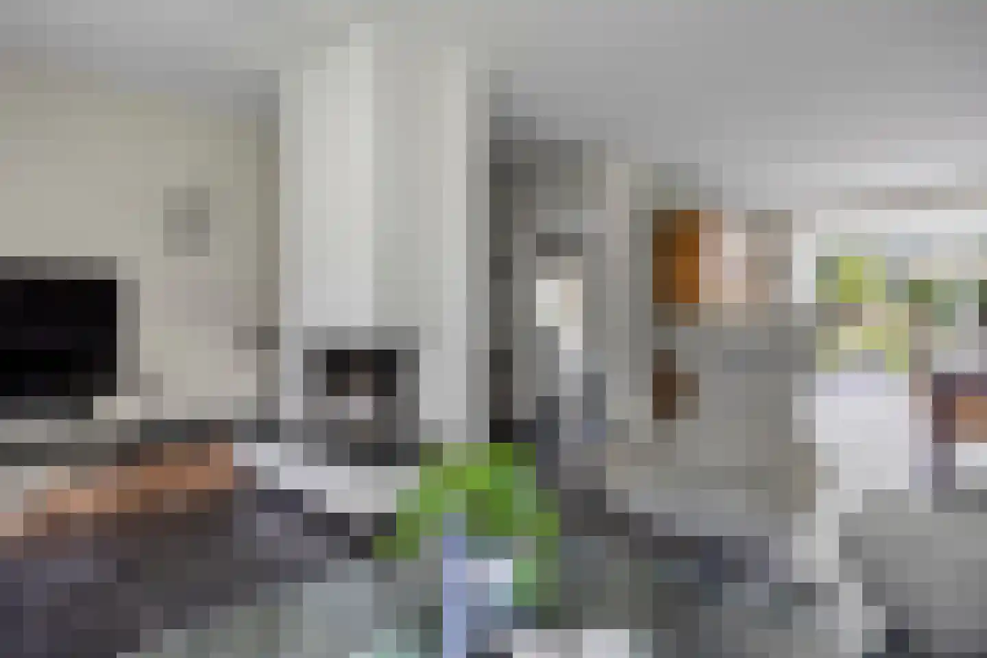 Berkakker 22 Kaatsheuvel thumbnail 10