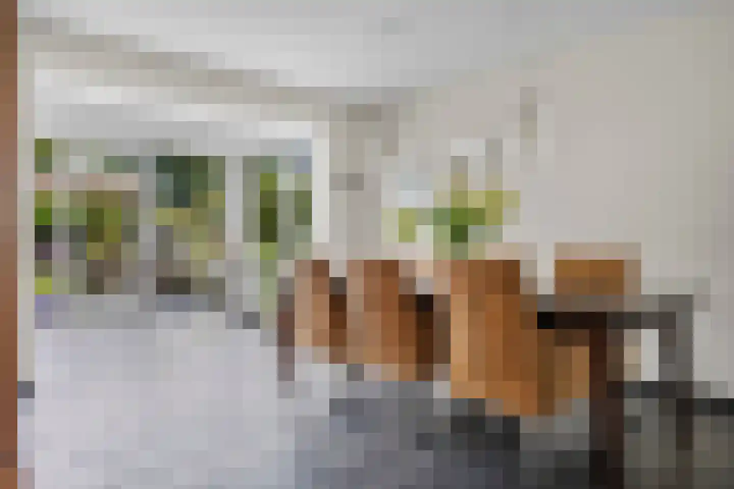 Berkakker 22 Kaatsheuvel thumbnail 12