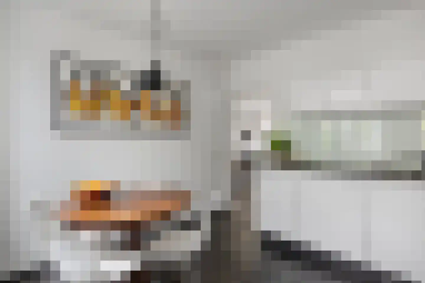 Berkakker 22 Kaatsheuvel thumbnail 15