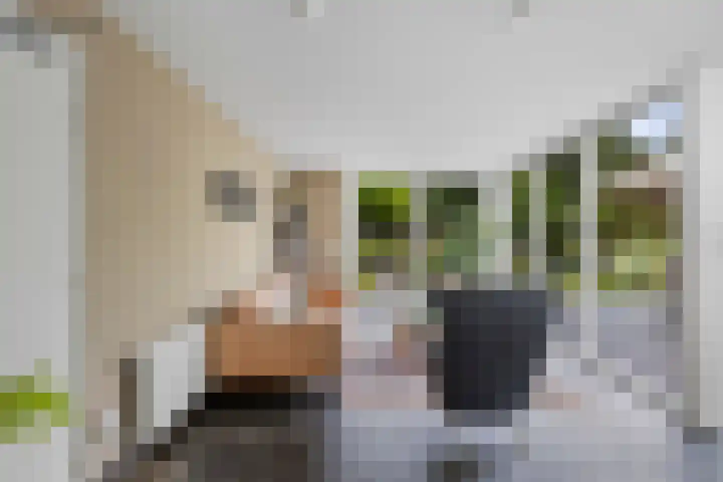Berkakker 22 Kaatsheuvel thumbnail 17
