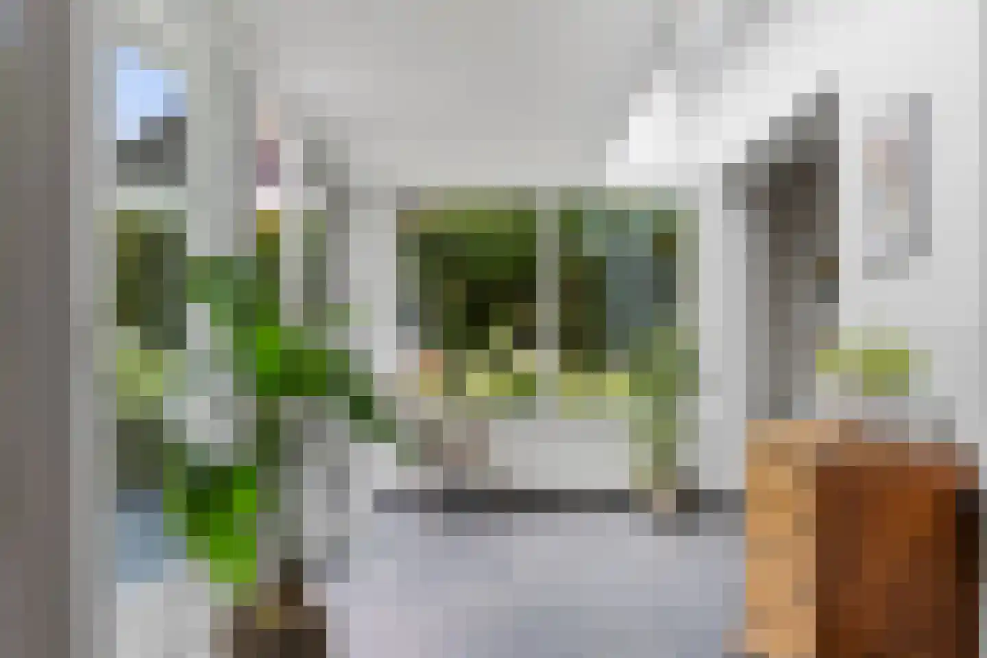 Berkakker 22 Kaatsheuvel thumbnail 19