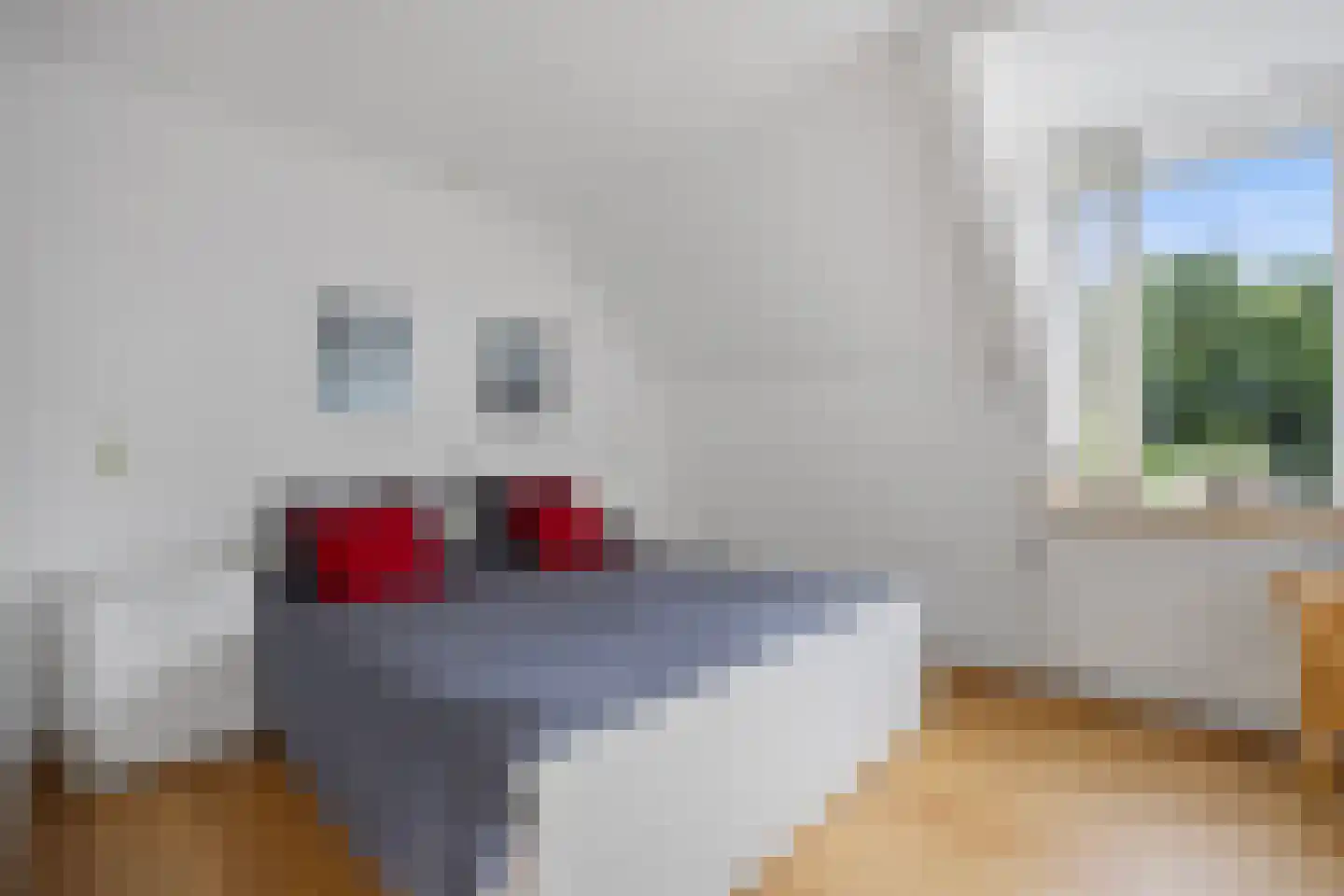 Berkakker 22 Kaatsheuvel thumbnail 25