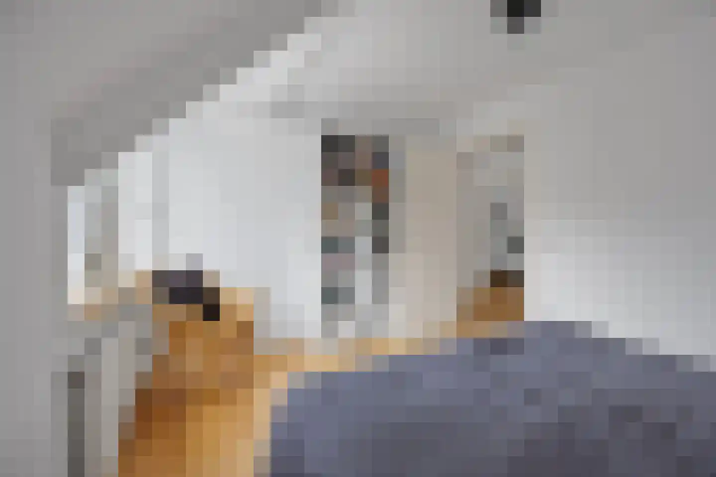Berkakker 22 Kaatsheuvel thumbnail 26