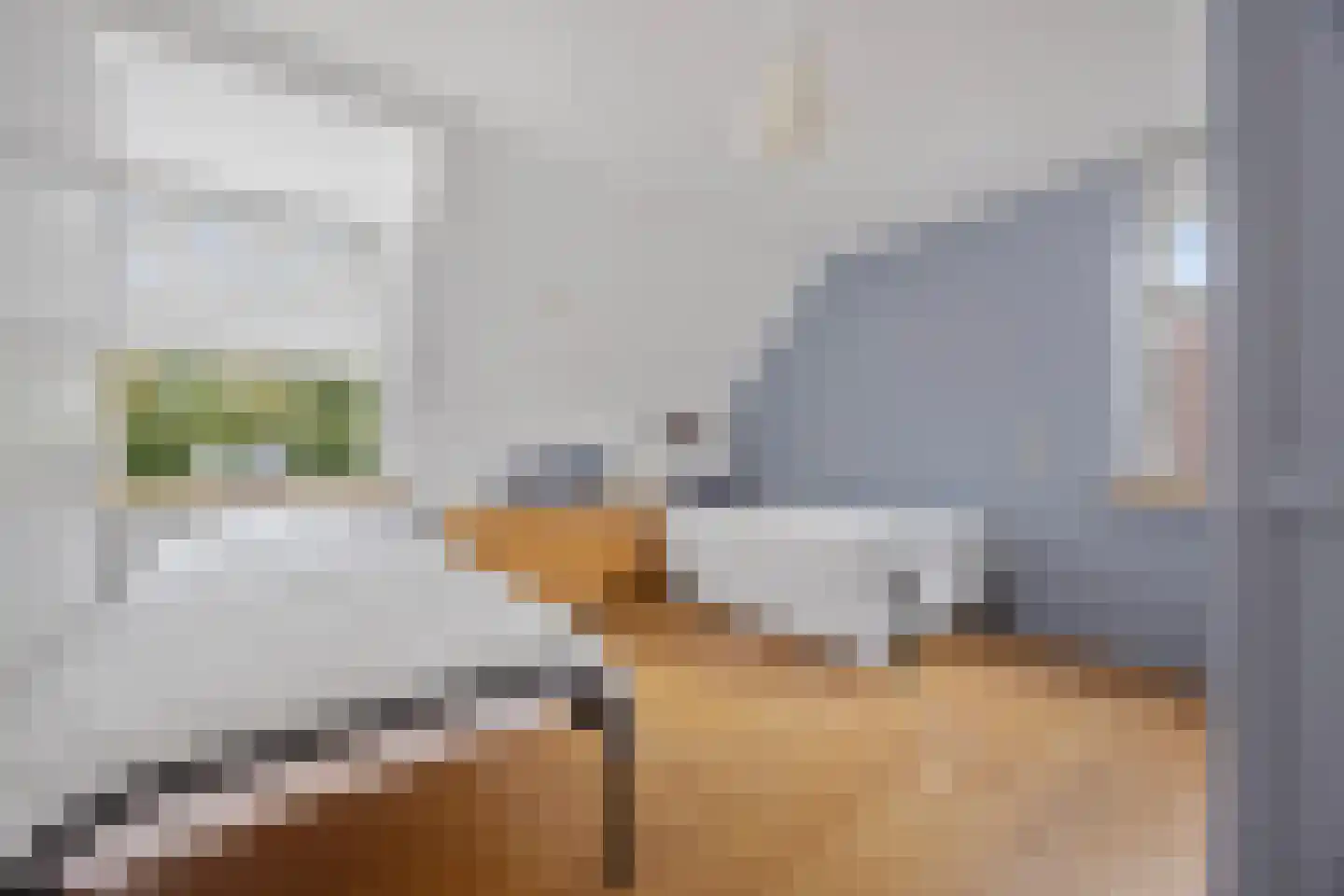 Berkakker 22 Kaatsheuvel thumbnail 32