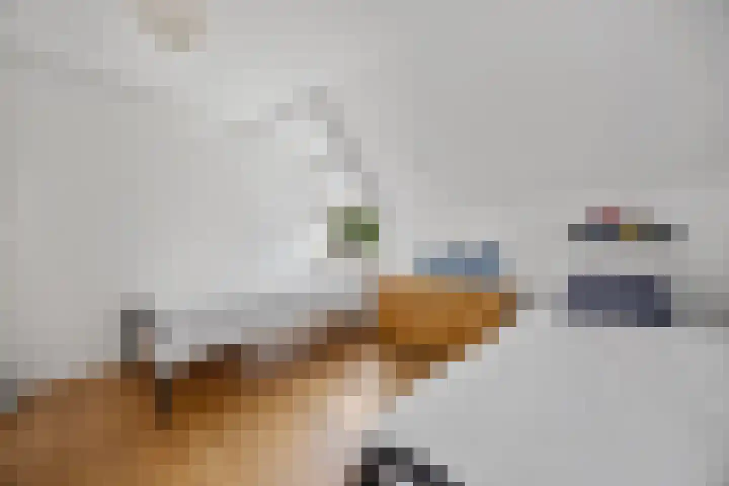 Berkakker 22 Kaatsheuvel thumbnail 33