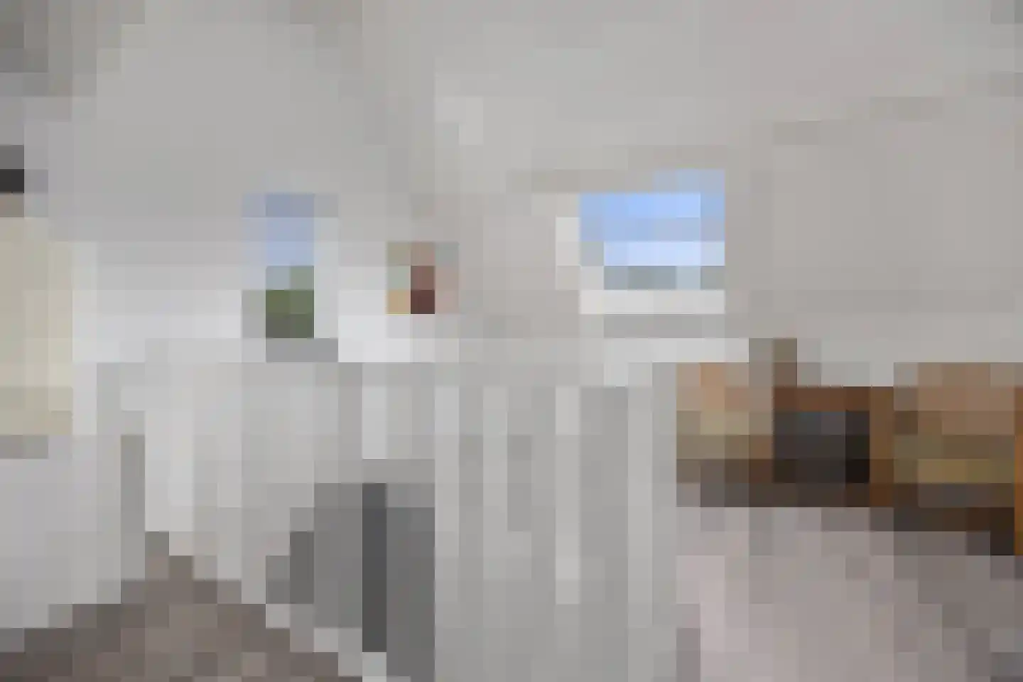 Berkakker 22 Kaatsheuvel thumbnail 34