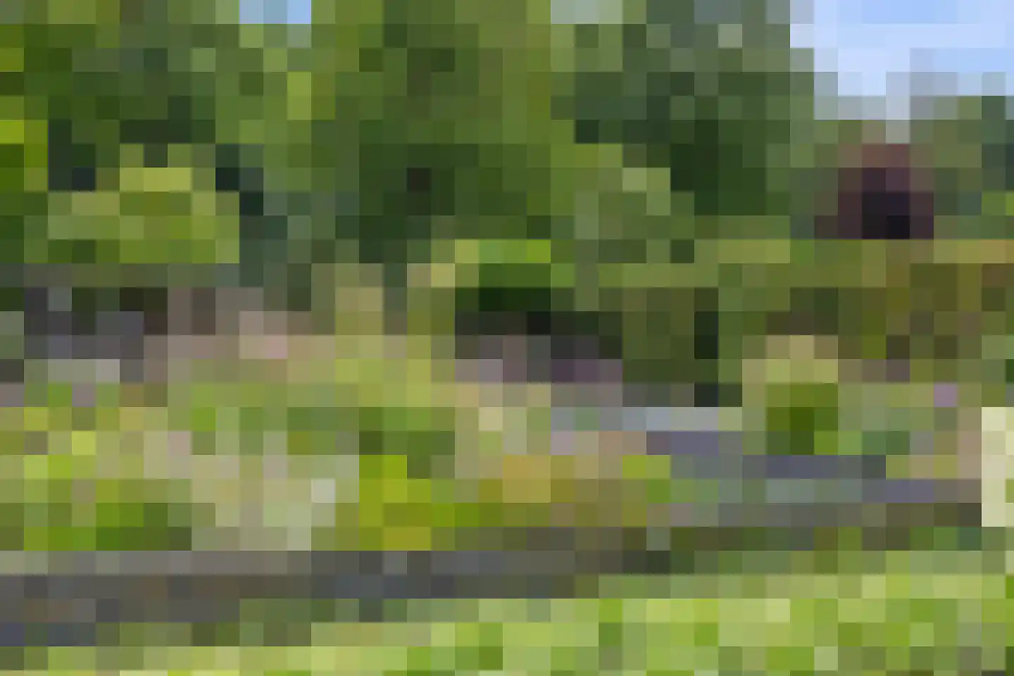 Berkakker 22 Kaatsheuvel thumbnail 39