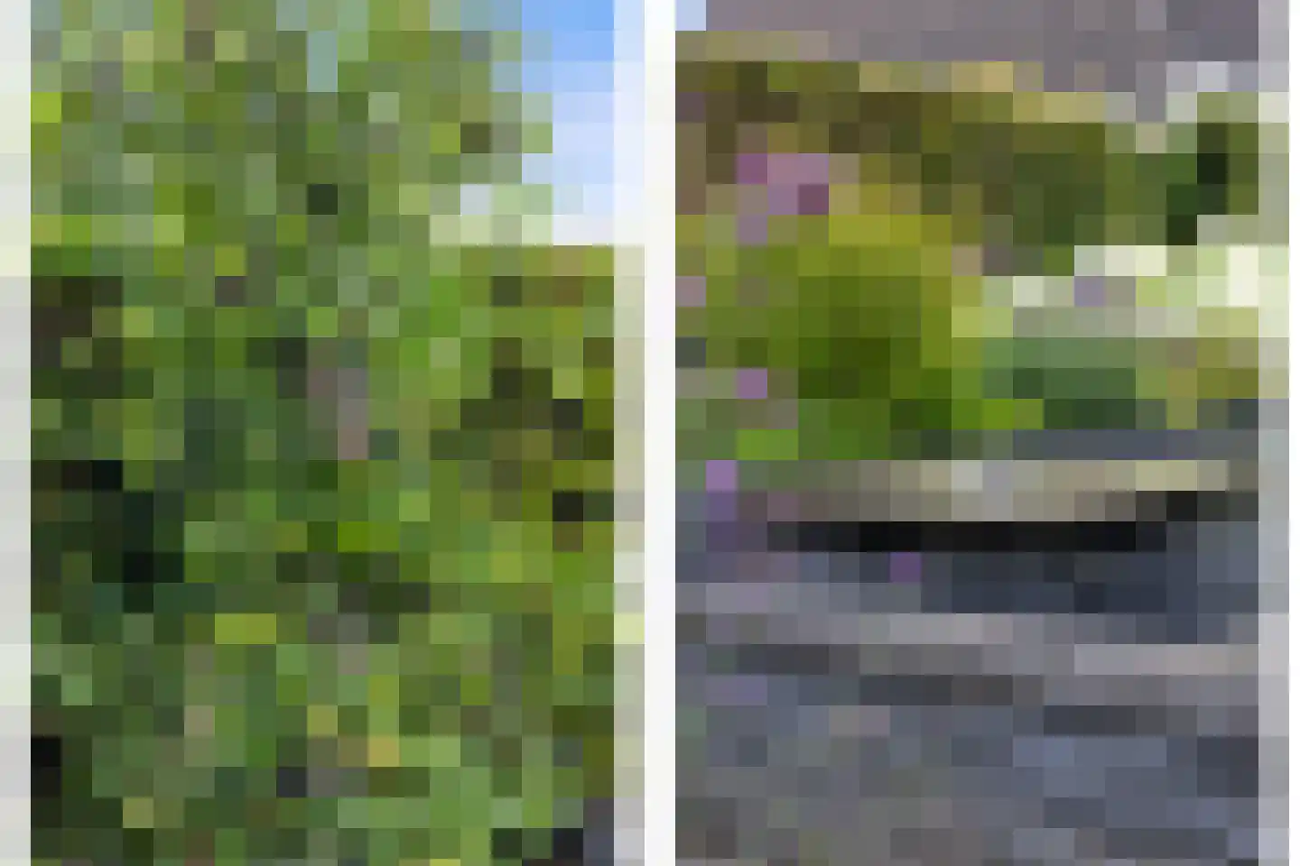 Berkakker 22 Kaatsheuvel thumbnail 43