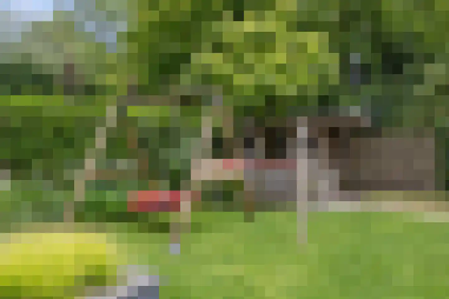 Berkakker 22 Kaatsheuvel thumbnail 47