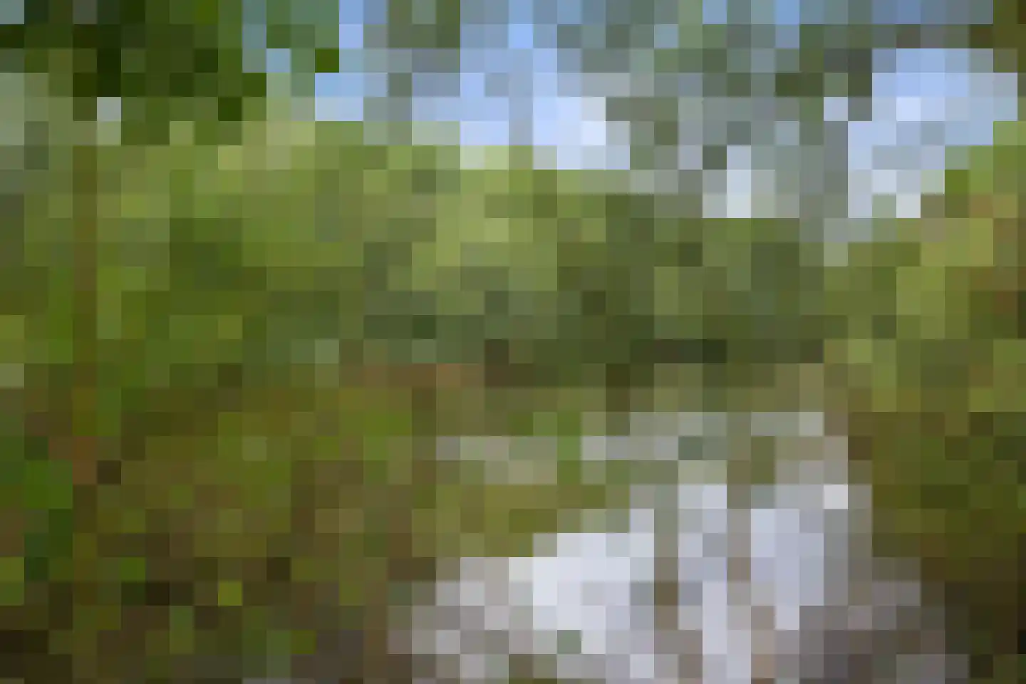 Berkakker 22 Kaatsheuvel thumbnail 56