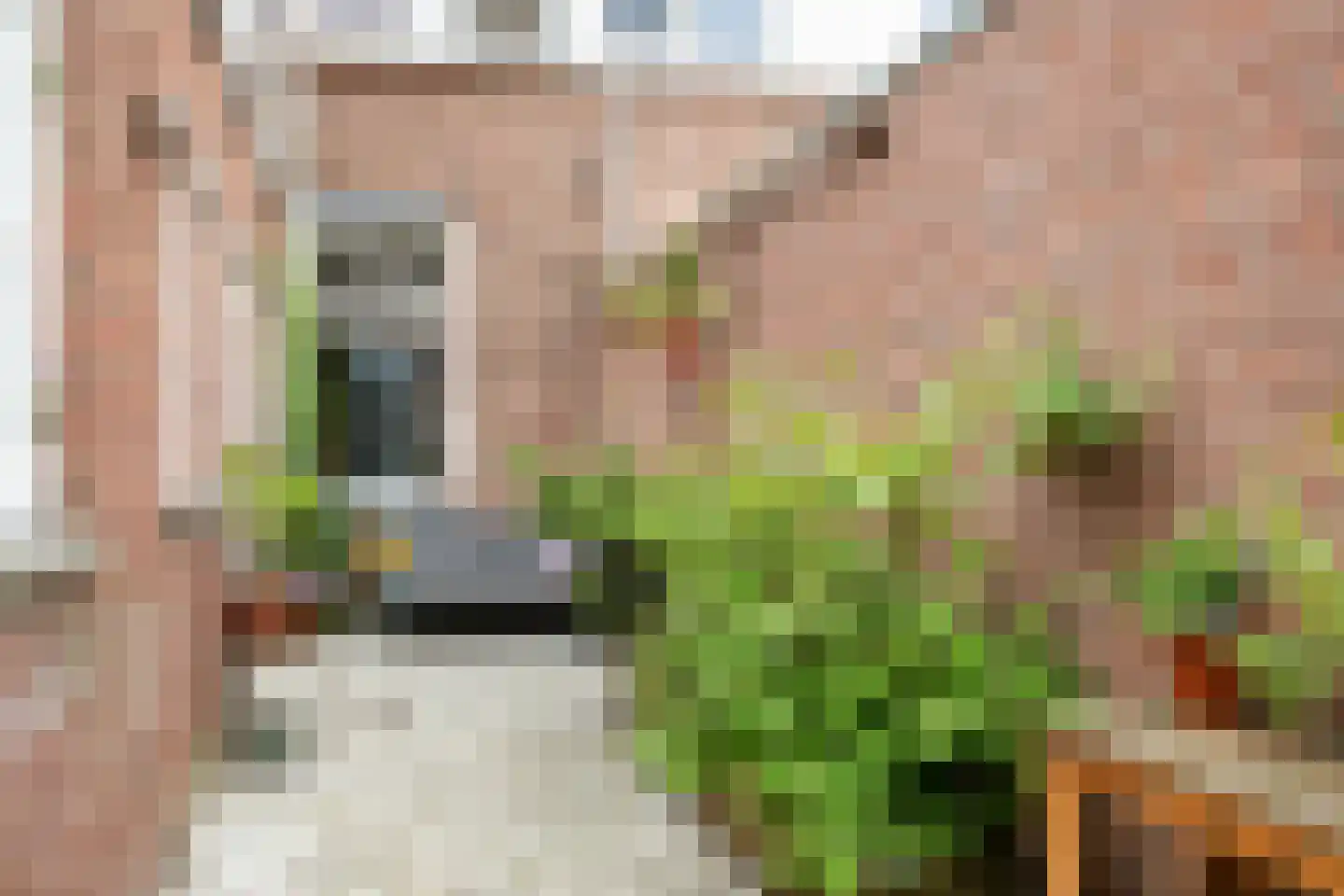 Berkdijksestraat 103 Tilburg thumbnail 35