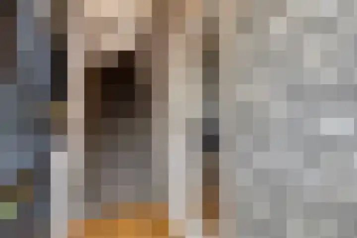 Berkdijksestraat 17 Tilburg thumbnail 4