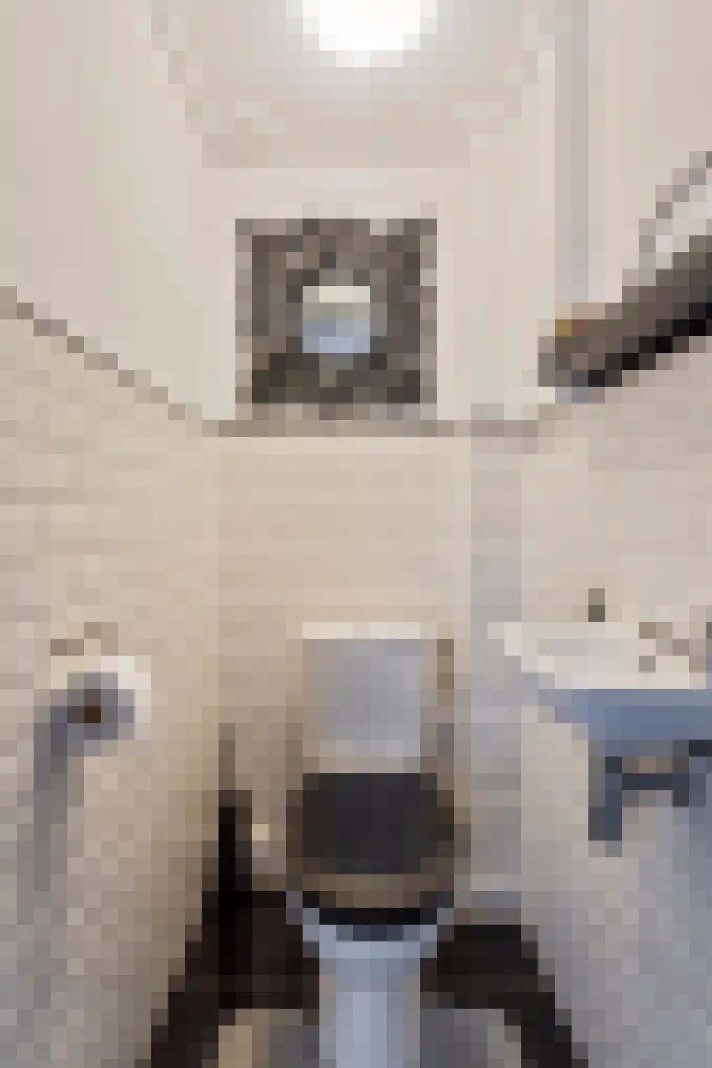 Berkdijksestraat 85 Tilburg thumbnail 12