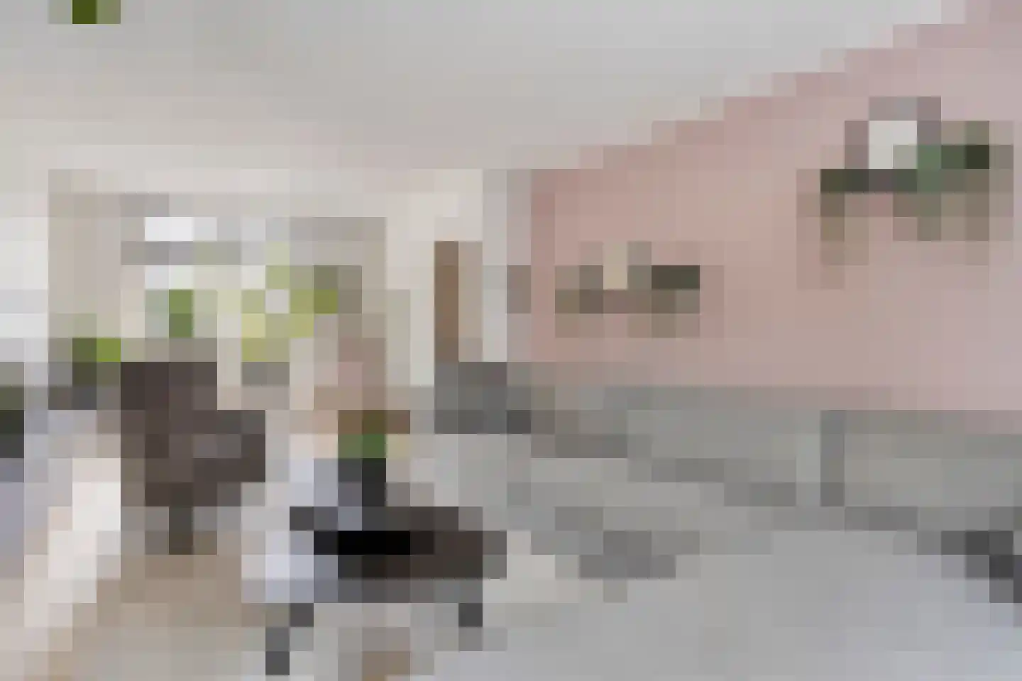 Berkdijksestraat 85 Tilburg thumbnail 14